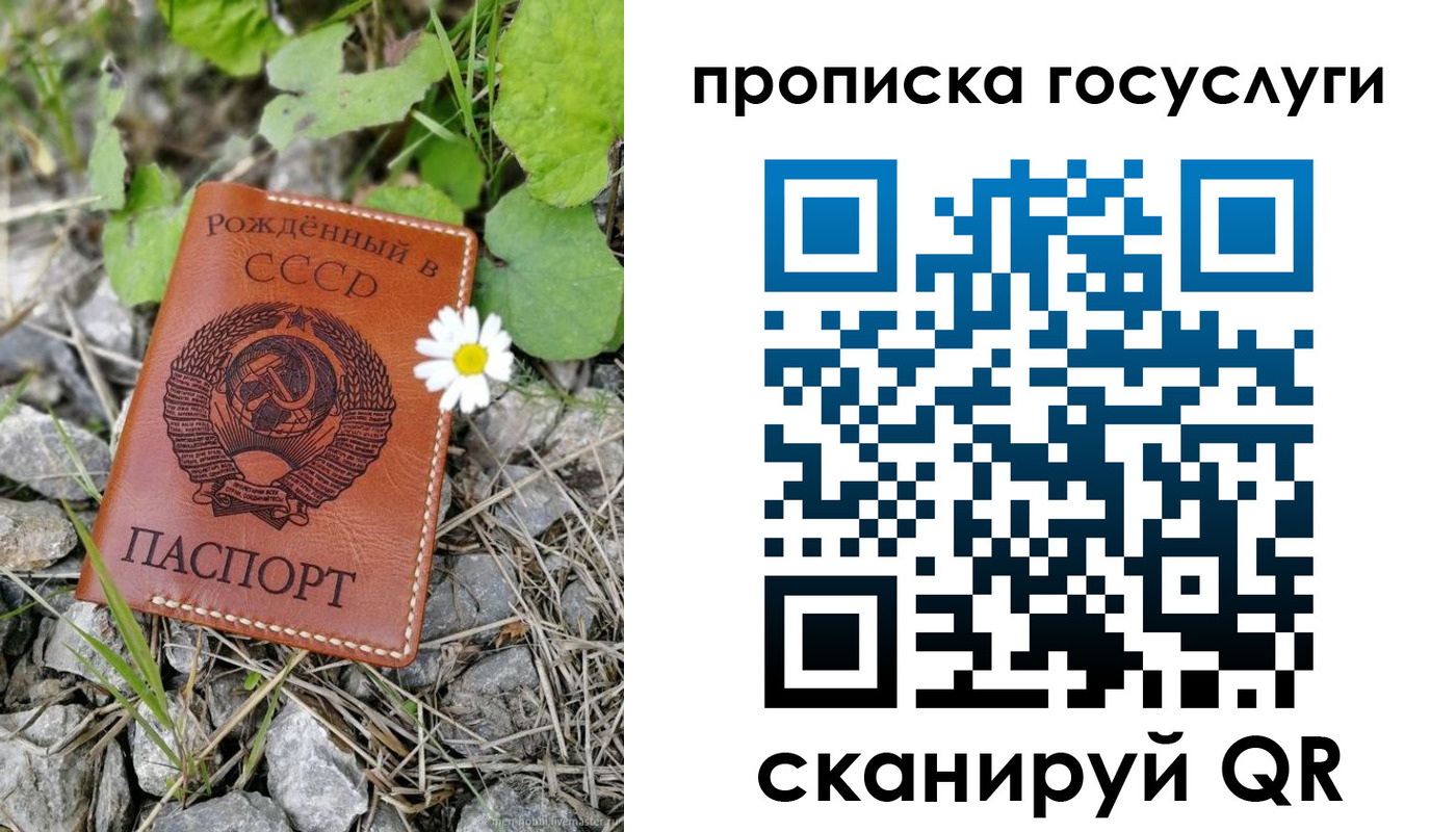 прописка от собственника в Дальнегорске